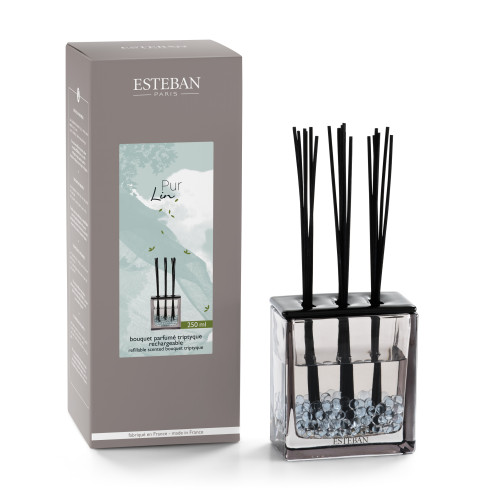 BOUQUET PARFUME TRIPTIQUE ET SA RECHARGE 250ML PUR LIN 2