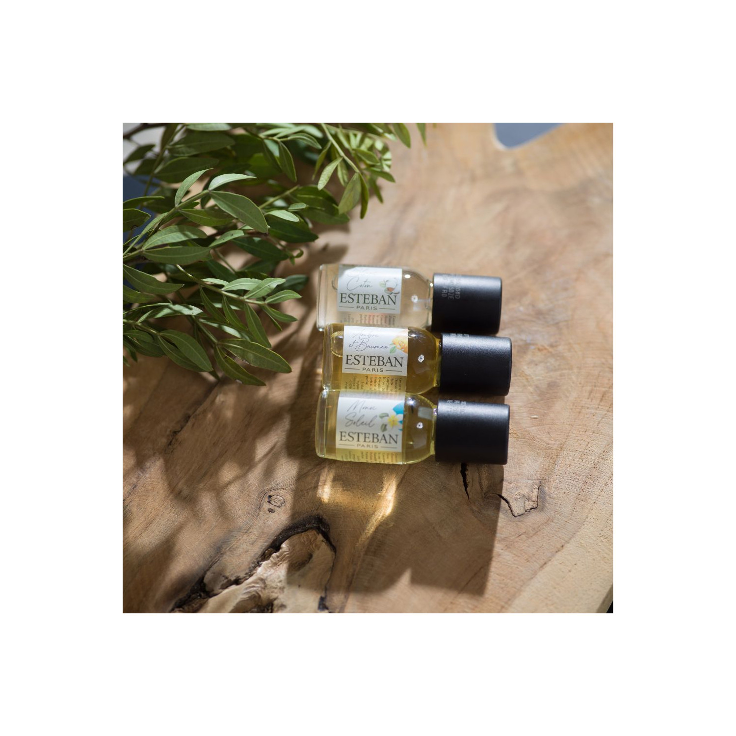 CONCENTRE DE PARFUM CEDRE SAUVAGE 3