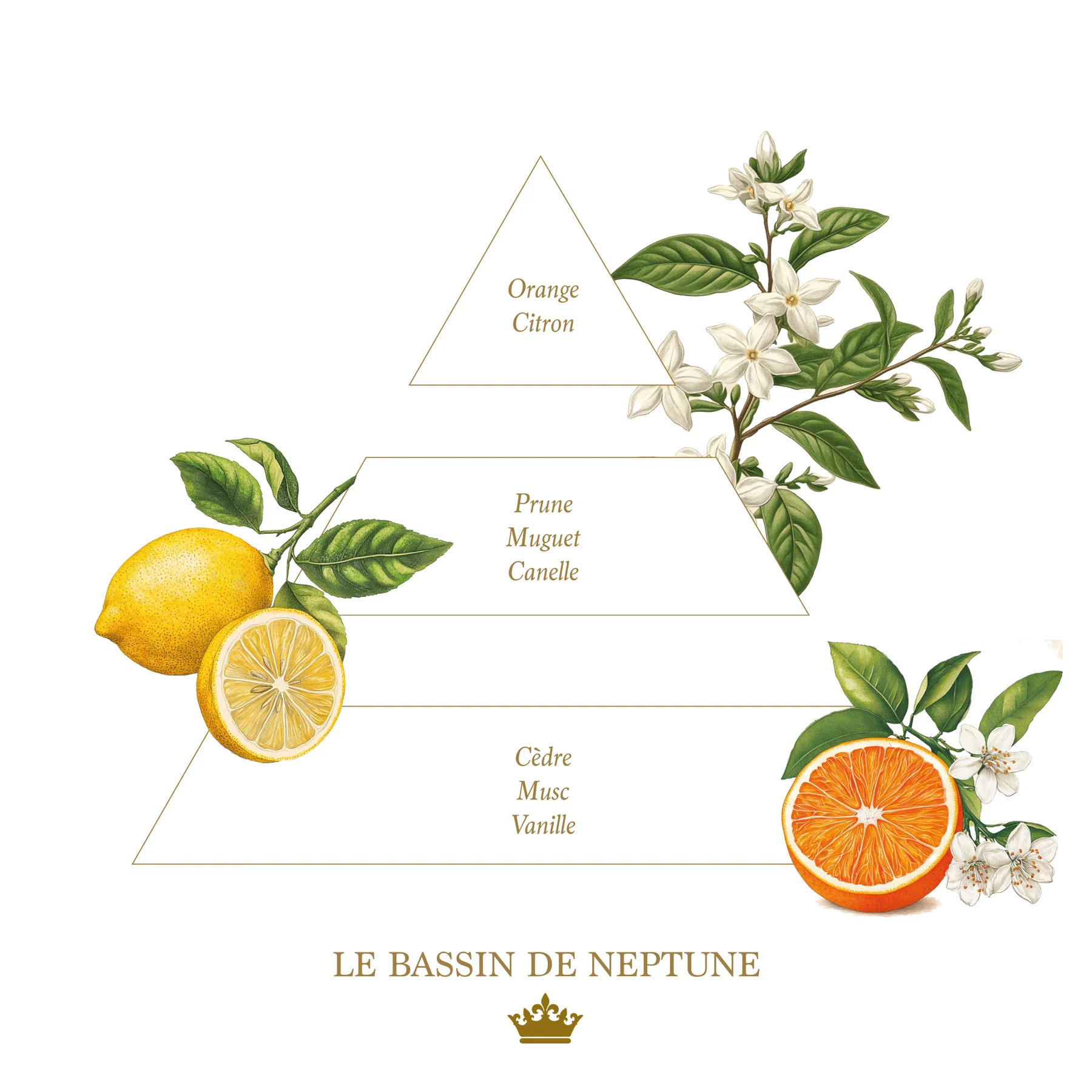 Bougie parfumée Le bassin de Neptune - Collection Colorée 6