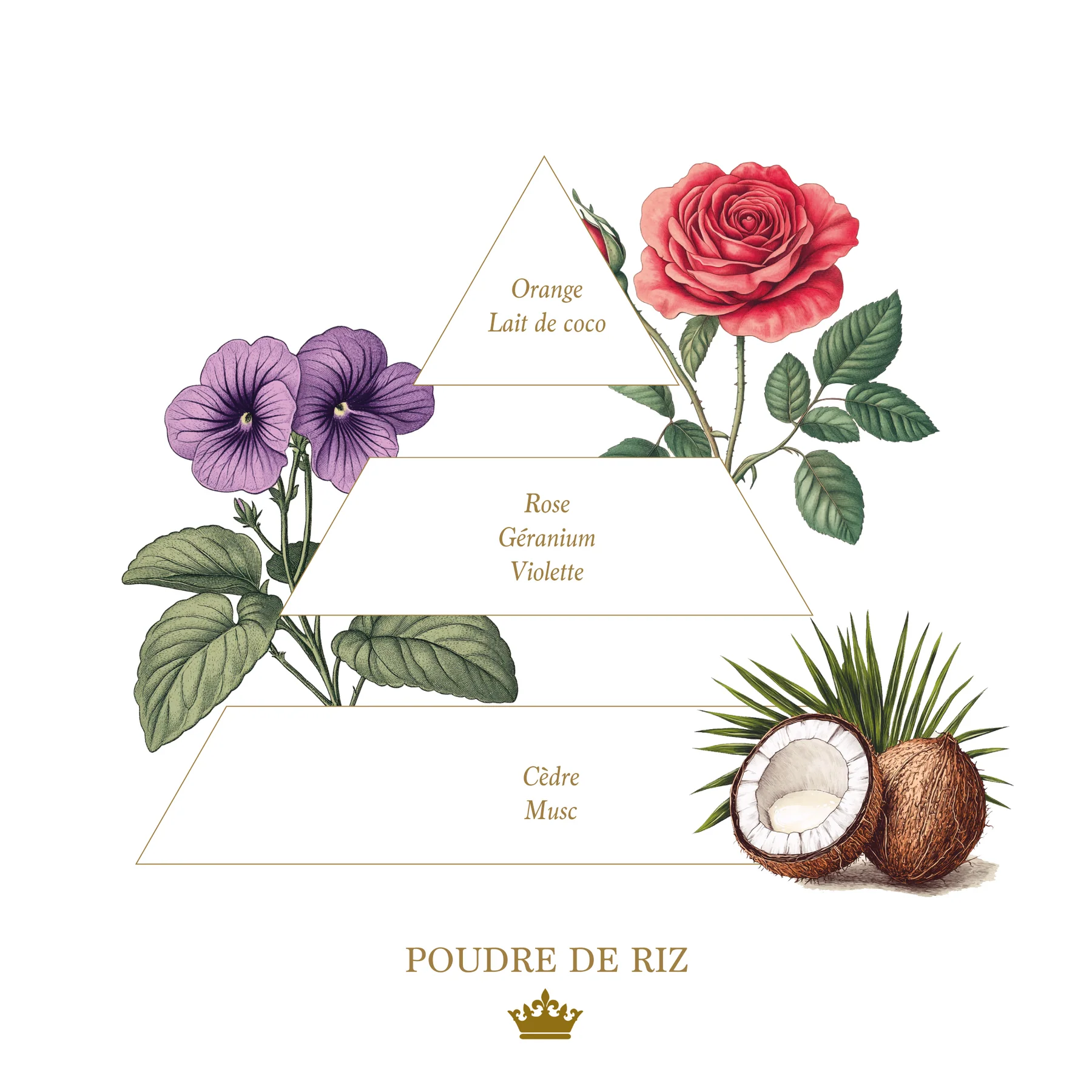 Bougie parfumée Poudre de Riz - Collection Colorée  4