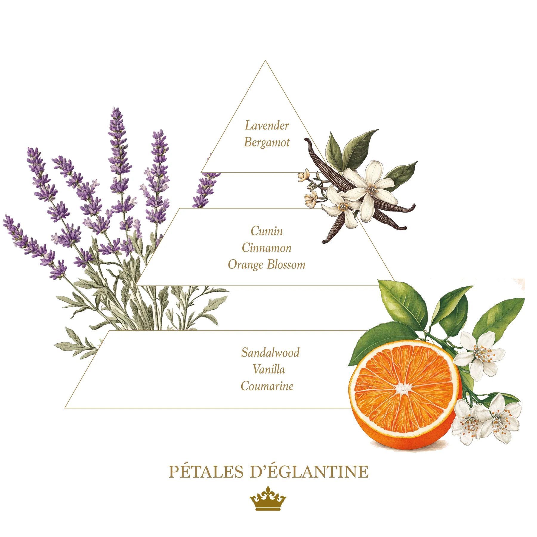 Bougie parfumée Pétales d'églantine - Collection Colorée  5