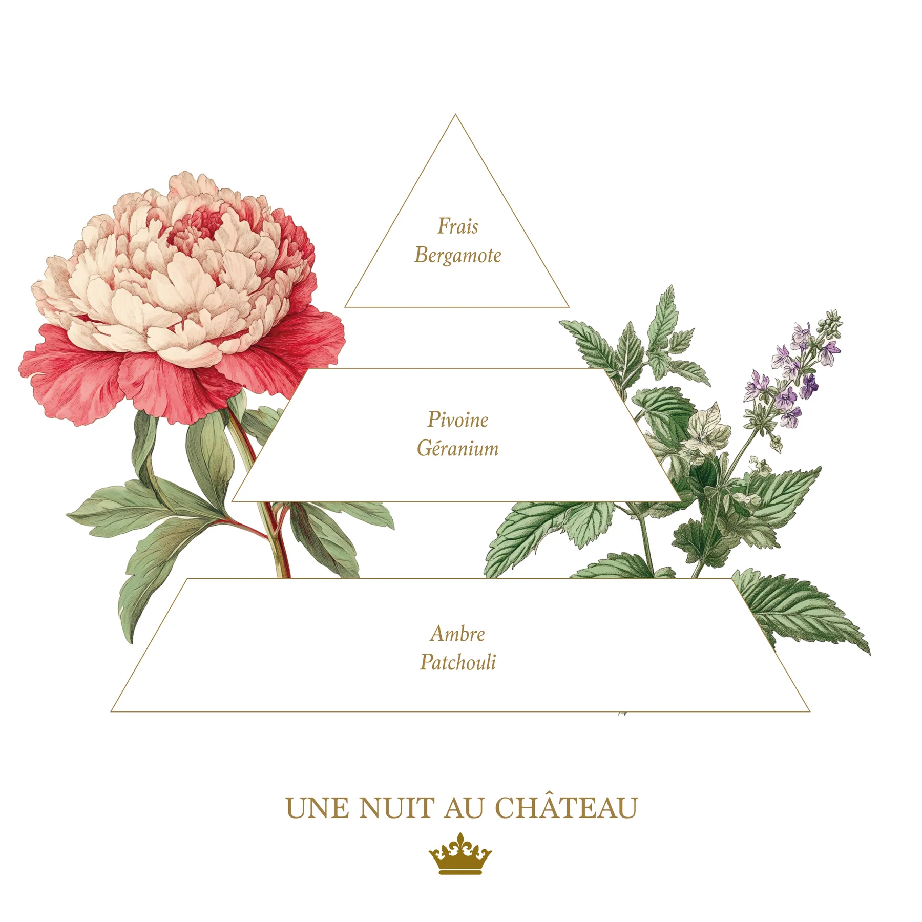 Bougie parfumée Une Nuit au Château - Collection Colorée 5